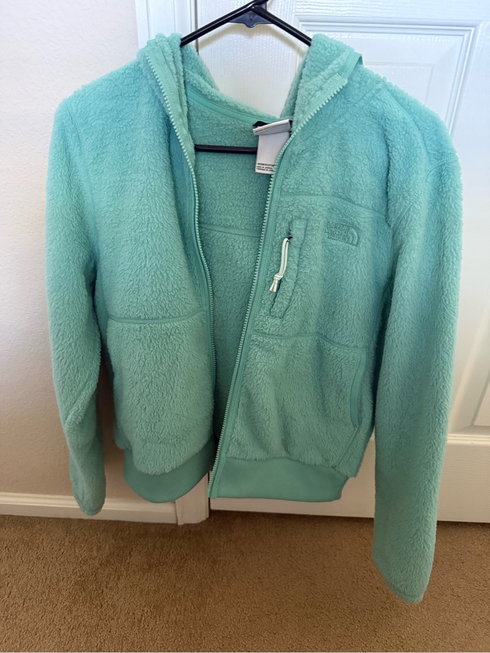 The North Face Mint Green Sherpa Zip Hoodie
